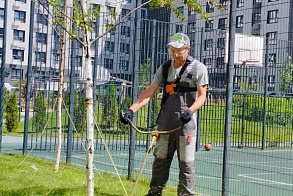 Результаты благоустройства