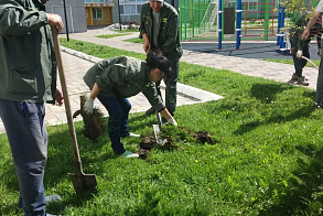 Результаты благоустройства