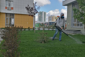 Результаты благоустройства