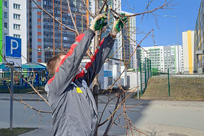 Результаты благоустройства