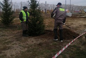 Результаты благоустройства