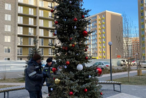 Результаты благоустройства