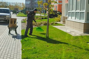 Результаты благоустройства