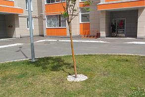 Результаты благоустройства